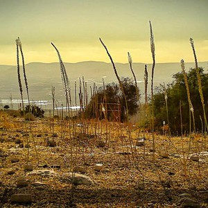 الإثنين: أجواء باردة .. وفرصة لزخات محلية من المطر في شمال المملكة