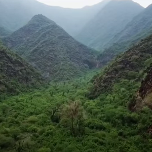 مكشات | وادي الصليل بمنطقة عسير .. جنة الله في أرضه