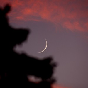 Astronomically, when will the crescent of Dhul Qi&#39;dah 1444 AH be born?