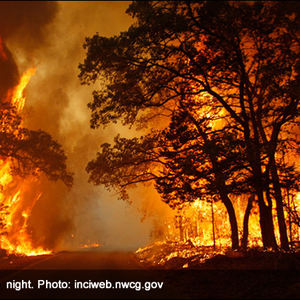 Forest fires .. How do they start? And what is the role of the weather in its spread?!
