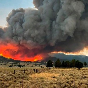 دراسة تكشف ارتباط حرائق الغابات بزيادة إصابات ووفيات فيروس كورونا