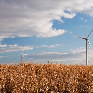 السبت: غيوم ورياح .. وأمطار ليلاً