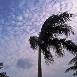 عصر ومساء يوم السبت .. تغير جذري على الأجواء