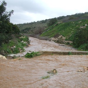 الأغوار الشمالية تستعد للمنخفض الجوي القادم بخطة طوارئ