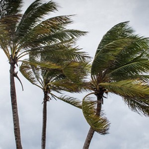 الأردن | هبات قوية للرياح سجلتها محطة رصد الرونق في العاصمة الآن بلغت 84.6 كم/ساعة