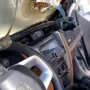 بالفيديو | شاحن متنقل ينفجر كقنبلة موقوتة بعد تركه داخل السيارة تحت اشعة الشمس الحارقة