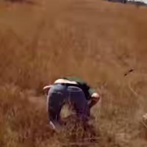 بالفيديو: عندما تهجم الزرافة.. شاهد ماذا يحدث