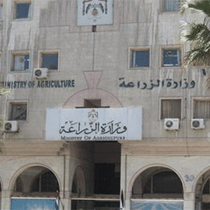 زراعة المفرق تدعو لاتخاذ الاحتياطات اللازمة لحماية مواليد الماشية