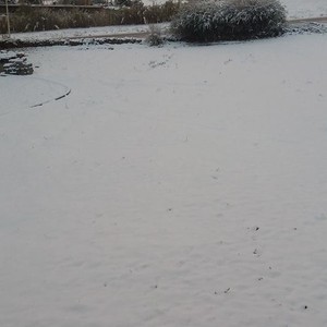 بالصور.. تساقط الثلوج على المرتفعات الشرقية للجزائر