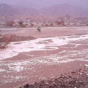 في مكة المكرمة: جمل يصارع السيول