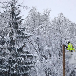 عاصفة شتوية تقتل شخصا وتترك 310 آلاف دون كهرباء في جنوب شرق أمريكا