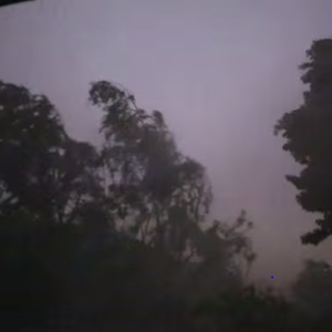 بالفيديو: عاصفة قوية تضرب "اسن" بالمانيا