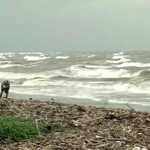 اللحظات الأولى لدخول الإعصار "هاغوبيت" للفلبين