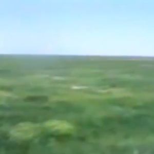 شاهد.. كيف كان ربيع الكويت 1996