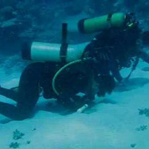 بالفيديو : جاء موعد الصلاة و هو يغوص تحت البحر .. شاهد ماذا فعل 