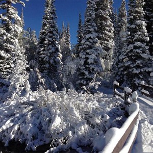 بالصور : الثلوج تزور استونيا في شهر حزيران لأول مرة منذ 32 عاما ! 