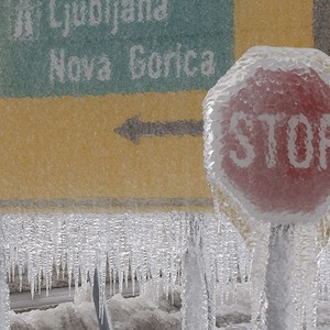 بالصور : كارثة انجماد غير مسبوقة في سلوفينيا والنتيجة تكسير نصف مليون هكتار من الأشجار