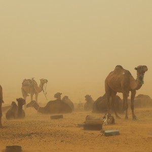 عاصفة رملية شديدة تجتاح أجواء رفحاء