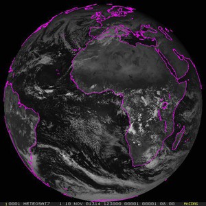 لبؤة هاربة.. تتجول وتُثير الرعب بأحد شوارع المغرب 