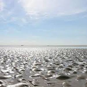 بالفيديو: تربة غريبة تتحرك عند المشي عليها وكأنها سائلة