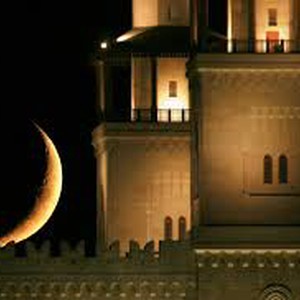 حوار بين سعودي وقط نائم يُمثل حال الطالب السعودي لحظة إيقاظه للمدرسة  