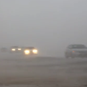 تدني مدى الرؤية بشوارع خليص يوقف حركة المركبات