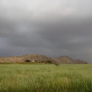 الربيع يُحول خميس حرب من أرضٍ جرداء إلى جنة خضراء  