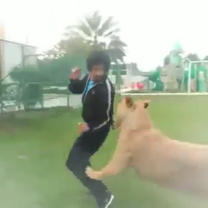 سعودي يمازح صديقه بإطلاق أنثى الأسد عليه 