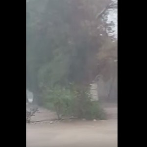 شاهد كيف تساقطت الأمطار بغزارة في منطقة العبدلي