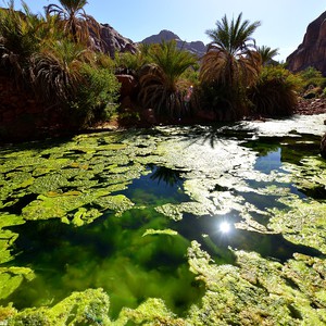 بالصور : مشاهد فوتوغرافية رائعة من شعيب توارن في منطقة حائل