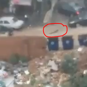 In Lebanon Rescue a woman who almost drowned after being washed away by torrents ... witness