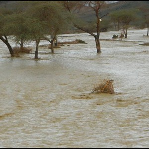 محاولة إنقاذ أشخاص علقوا وسط سيل في المدينة المنورة
