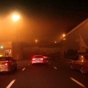 لقاء مع أكثر الحيوانات نُدرة من خلال عرض تكنولوجي يفوق الخيال في دبي