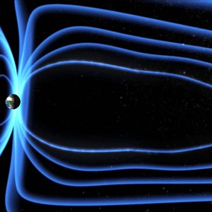 بالفيديو : دُب يصطدم بسيارة مُسرعة و يُكمل مسيره و كأن شيئاً لم يحدث