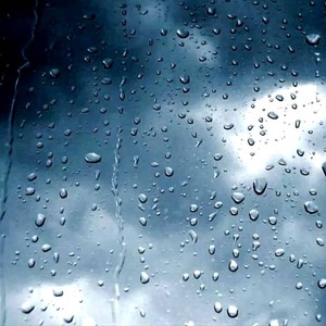 " بنت المطر " إحدى أكثر الحشرات جمالاً بالمنطقة العربية  