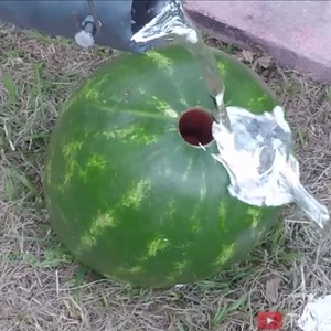 Que se passe-t-il lorsque de l&#39;aluminium fondu est versé dans une pastèque... Regardez le résultat !