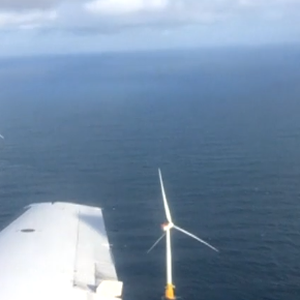 شاهد.. أول مزرعة عائمة لطاقة الرياح في العالم