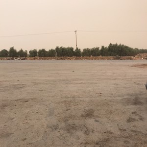  الغبار يحول نهار مدن عدة إلى ليل .. شاهد 