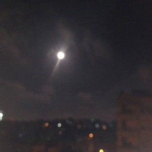 بالصور: قمر الحصادين بعيون الأردنيين