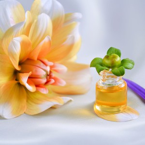 Discoveries That Changed the World - Cosmetics - Episode (14)