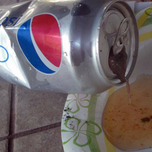 بالصور: سيدة أمريكية  تعثر على فأر ميت في مشروبها الغازي 