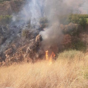 بالصور | حرائق في المزارع بمنطقة دير ابي سعيد غرب اربد منذ ساعات العصر ومستمر حتى الآن