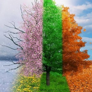 هل الفصول الأربعة متساوية في عدد الأيام؟