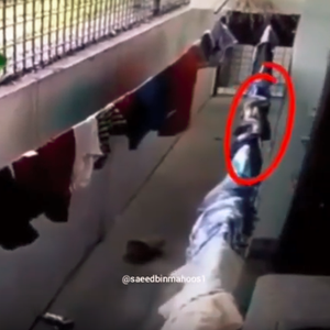 احذروا الأفاعي صيفًا فقد تختبئ في أماكن لا تتوقعها.. شاهد 