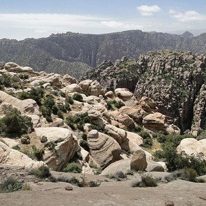 وفاة صاحب أغرب وأطرف لقطة في تاريخ المونديال