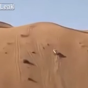 بالفيديو: سعودي ينفذ مغامرة خطيرة باعتلائه قمة تل عمودي بسيارته