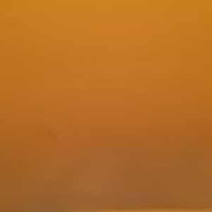 رياح عاتية مُحملة بأطنان من الرمال تؤثر على عرعر 