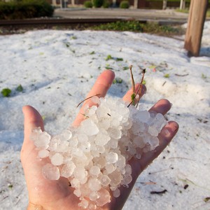 عاصفة بردية تضرب شمال الرياض للمرة الأولى هذا الموسم