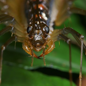 شاهد ماذا تفعل "أم أربعة وأربعين" بجلدها بعد تغييره 