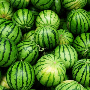 فيديو مثير " بطيخة " تنفجر وتتحول إلى آلاف القطع بعد توصيلها بالكهرباء 